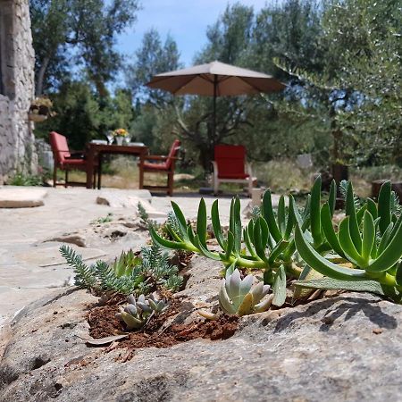 Holiday Home Strpuncina Luka  Екстер'єр фото